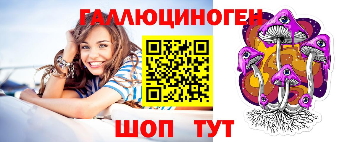 Псилоцибиновые грибы Cubensis Северск