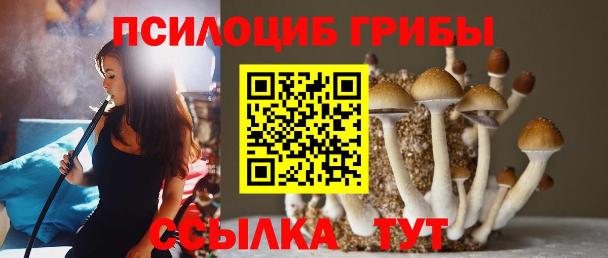 Псилоцибиновые грибы прущие грибы  Галлюциногенные грибы Magic Shrooms  Северск  Вход с VPN 